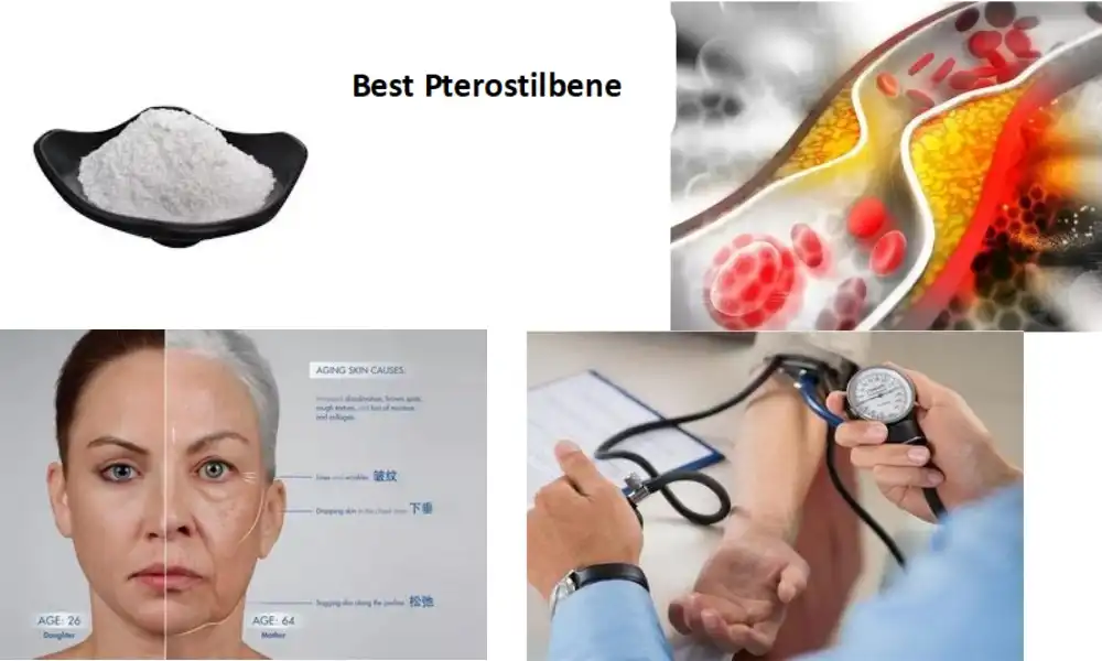 Best Pterostilbene: Natural Ways to Boost Your Health